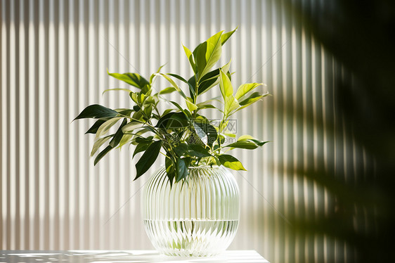 花瓶中的绿色植物图片