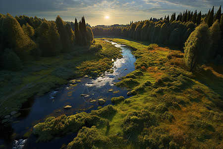 河流穿过蓊郁的绿色森林图片
