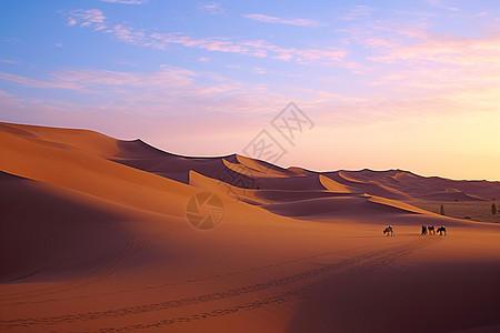 黄昏下的沙漠徒步旅行图片