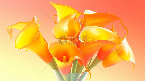 美丽的橙色花朵图片