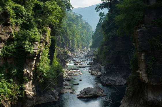 峡谷树木的自然景色图片