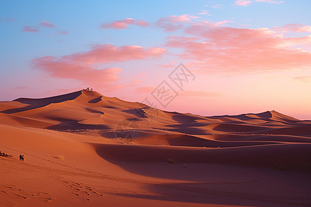 沙漠的自然风貌图片