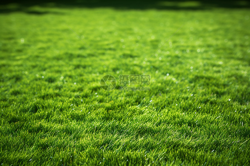 绿色直播引领新风尚 环保理念融入实时互动打造可持续观看体验