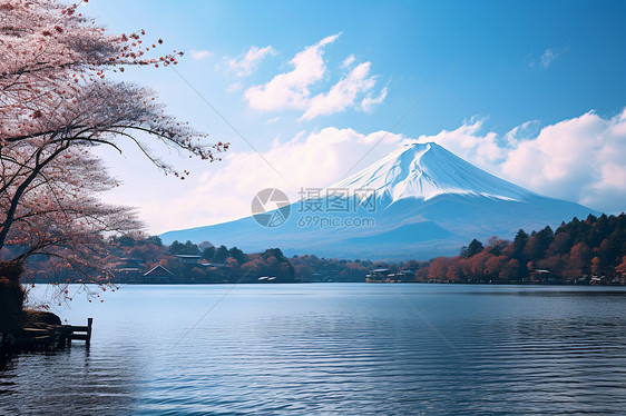 春季富士山下的湖泊景观图片