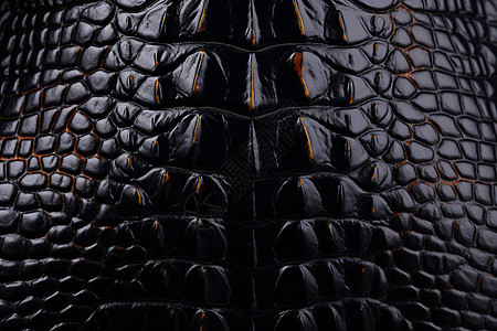 黑色鳄鱼皮纹理背景图片
