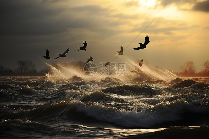 一群鸟飞翔于湖面之上高清图片下载-正版图片600759647-摄图网