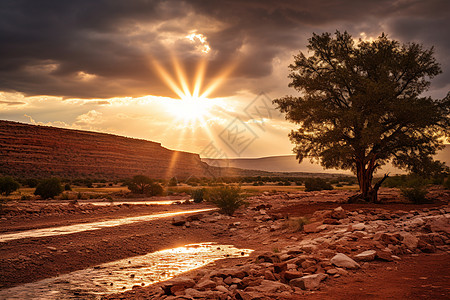 荒漠中的落日景观图片