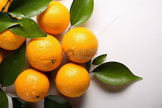 新鲜滴水的橙子图片