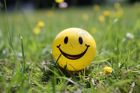 绿草地里的笑脸球背景图片