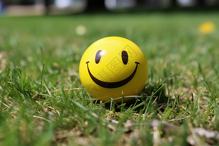 草坪上快乐的小球图片