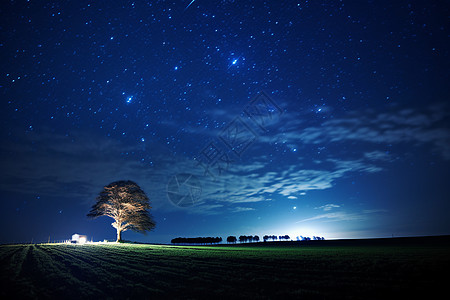 夜空下星空下的一棵树背景