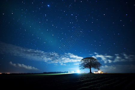 夜空下的孤树与星光图片