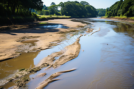 夏日里的小溪背景图片