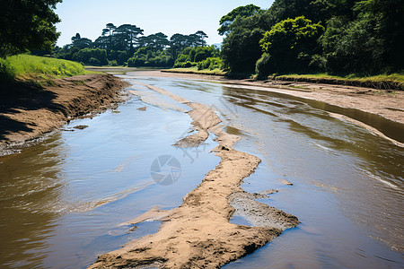 河床构造潺潺溪流阳光映照背景