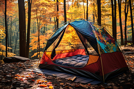 秋天黄叶间的帐篷图片