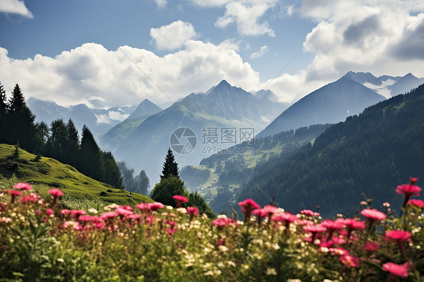 花海山境图片