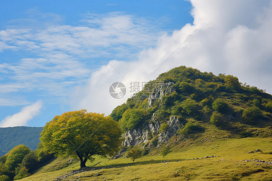 山顶的石头图片