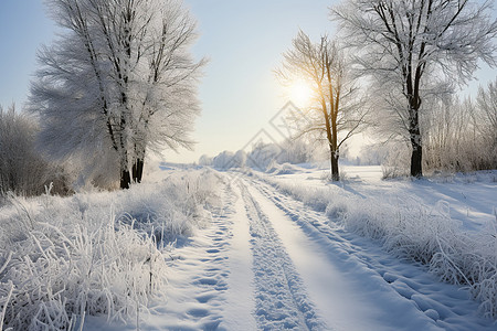 雪地上的林间道路背景