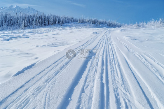 雪地痕迹图片