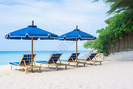 沙滩上放松的度假椅图片