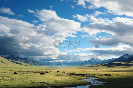 风景优美的蒙古牧场景观图片