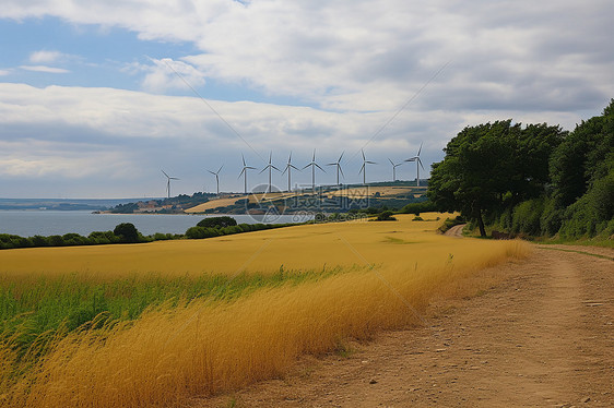 乡村田野中的风力发电厂图片