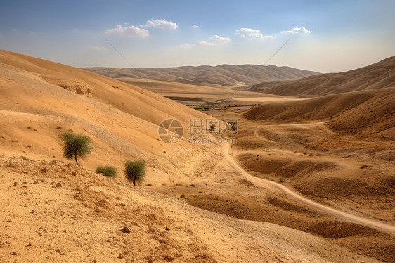 自然的沙漠景观图片
