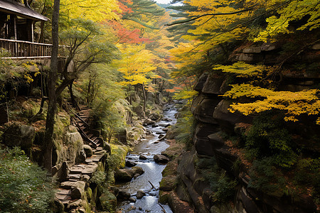 秋色的自然风景图片