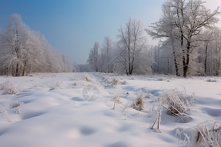 冰雪如画背景图片