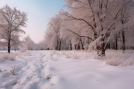 雪地公园的风景图片