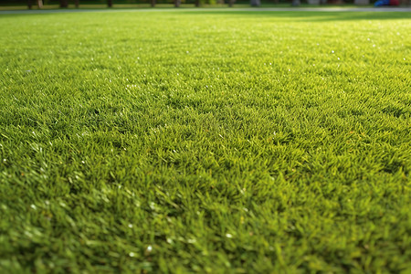 青绿人工草坪背景图片