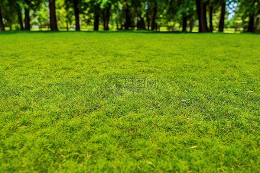 绿茵场上的艺术！深度解析经典足球比赛视频瞬间