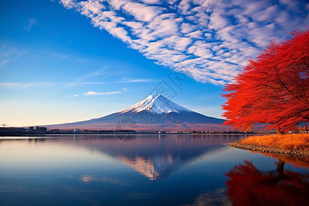 富士山日出美丽的富士山风景背景