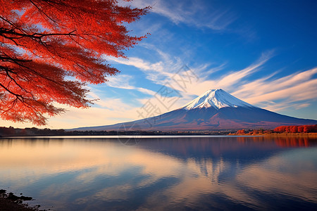 富士山日出著名的富士山风景区背景