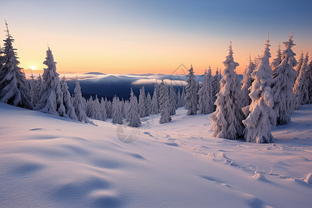 冬日日出的雪景山林图片
