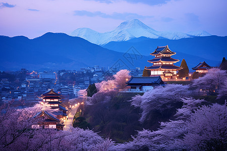 樱花夜景背景图片