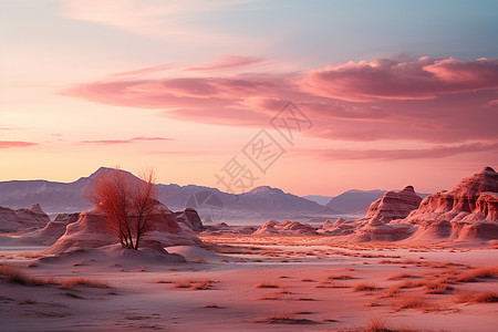 粉色沙丘沙漠图片