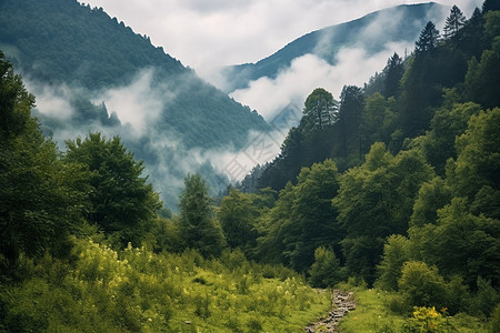 夏日美丽的山景图片