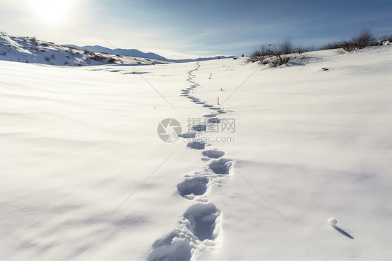 寒冷雪地中的脚印图片