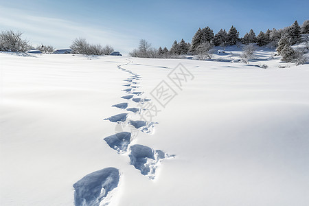 户外雪地中的脚印背景图片