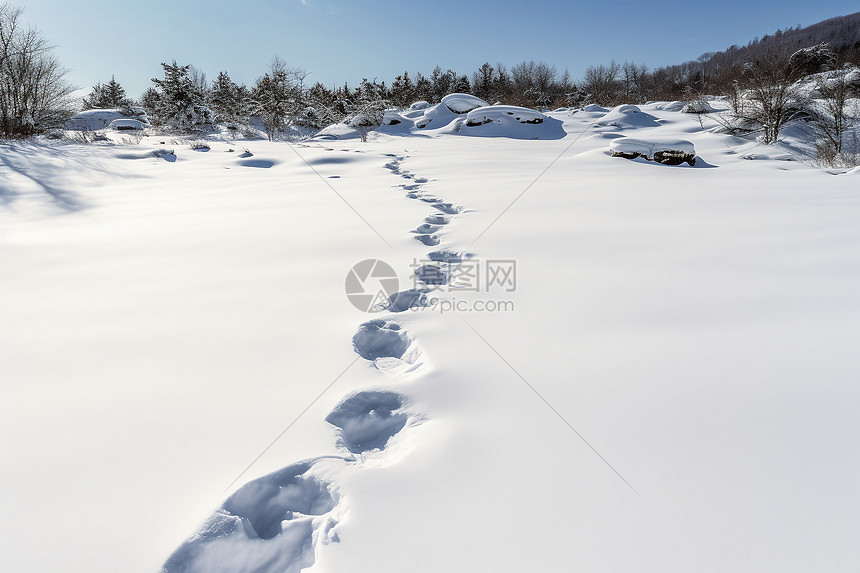 冬季雪地里面的脚印图片