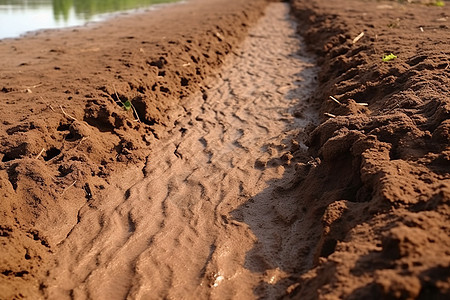 泥泞的灌溉沟渠图片