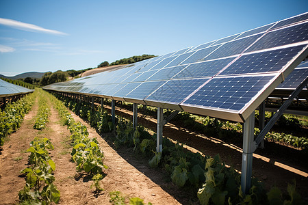 太阳能农场的太阳能光伏板图片