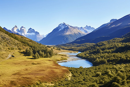 壮观风景夏季美丽的山谷风景背景