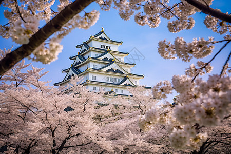 樱花围绕的地标建筑图片