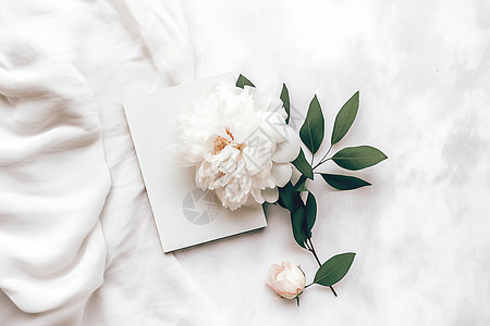 一朵白色花和一本书图片