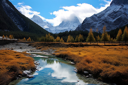 碧绿山谷清澈溪流背景图片