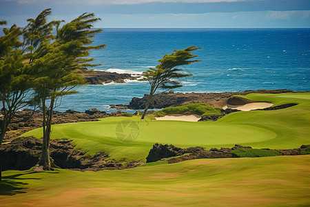 海洋旁边的高尔夫球场图片