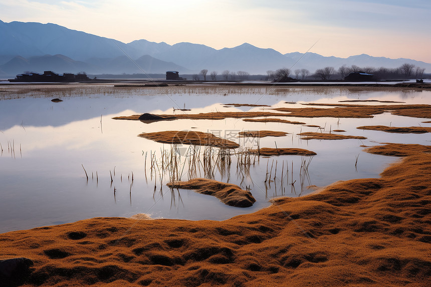 高海拔的湿地图片