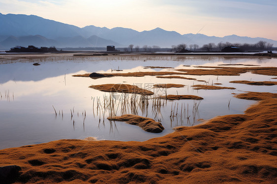 高海拔的湿地图片